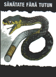 Reponsive image